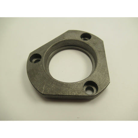 OPTIMUM Flansch D320/TH3309/D/V/TQ3209/D, Version 1 SM-03400923316