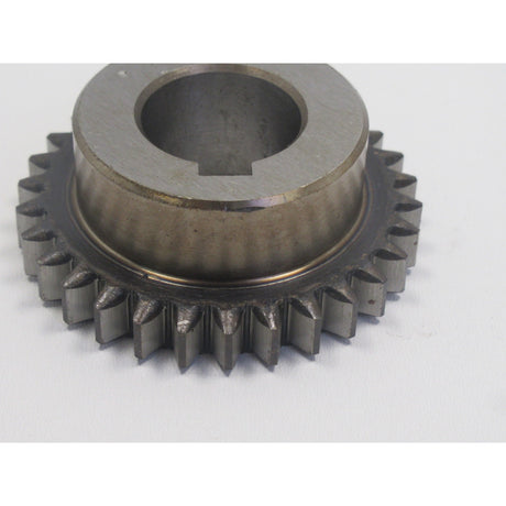 OPTIMUM Zahnrad D360x1000 – Detailausführung 2 SM-0340115093