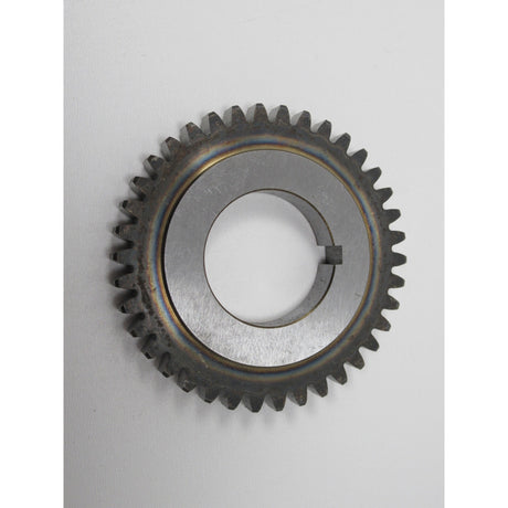 OPTIMUM Zahnrad TH3309/D/V (1) SM-034020301194