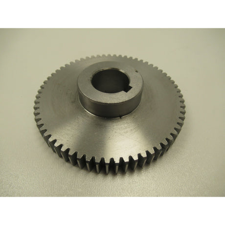 OPTIMUM Wechselzahnrad TM4010/D  Z63 SM-034030402084
