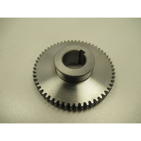 OPTIMUM Wechselzahnrad TM4010/D  Z56 SM-03403040322531