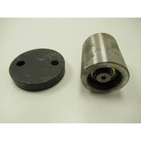 OPTIMUM Spannrolle TU3008/G-V-VB – Variante 1 SM-03427205115CPL