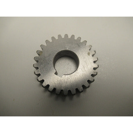 OPTIMUM Wechselrad D310 (2) SM-0343134