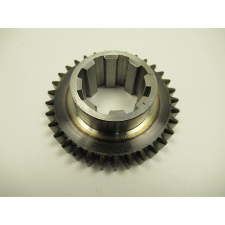 OPTIMUM Zahnrad TX5216 (33) SM-03432440133