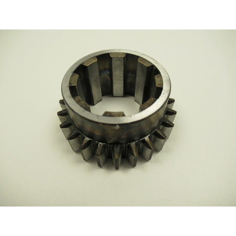 OPTIMUM Zahnrad TX5216, Version 44 SM-03432440134