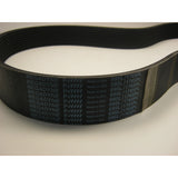 OPTIMUM Rippenbandriemen TZ4012  1765L10 SM-034333408828