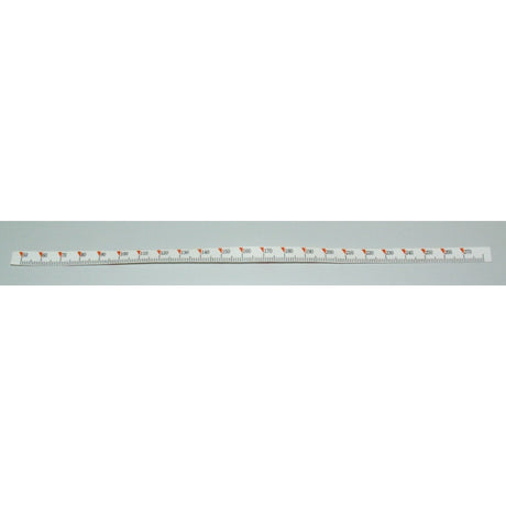 Holzkraft Skala KSE 50-280mm LM001758 - Art. 0515LM001758