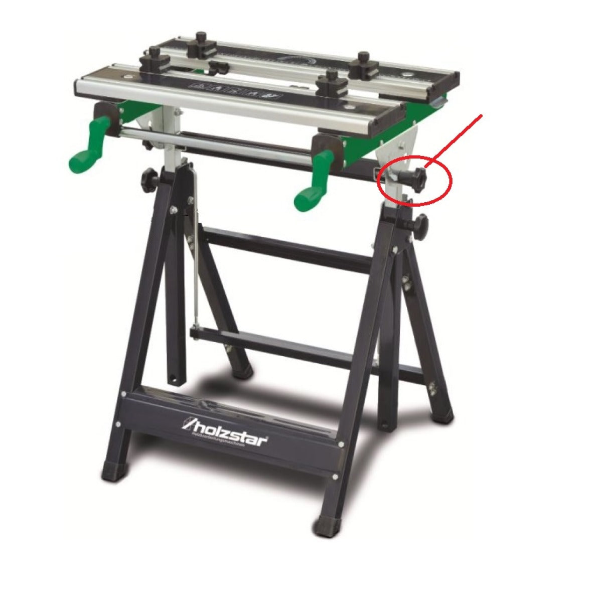 Holzstar Fixiergriff SWT 100 für Schwenkung - Art. 05900010FGO