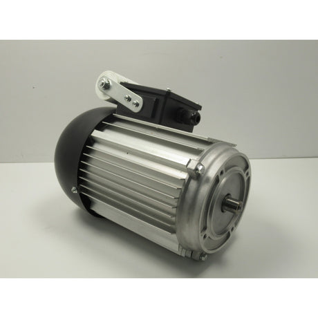 Holzstar Motor FKS 250,255-1300 / 230V - Art. 05902030152