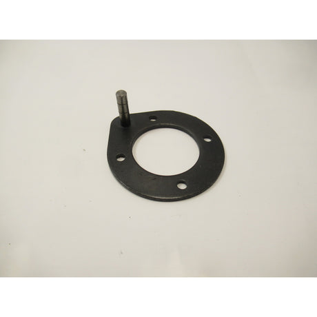 Holzstar Scheibe OSS 100, OBSS 100 53 - Art. 0590350019