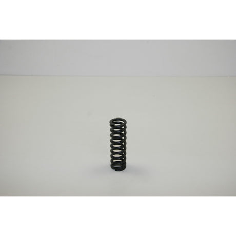Holzstar Feder BTS 250 22x3,6x68 - Art. 0590425075