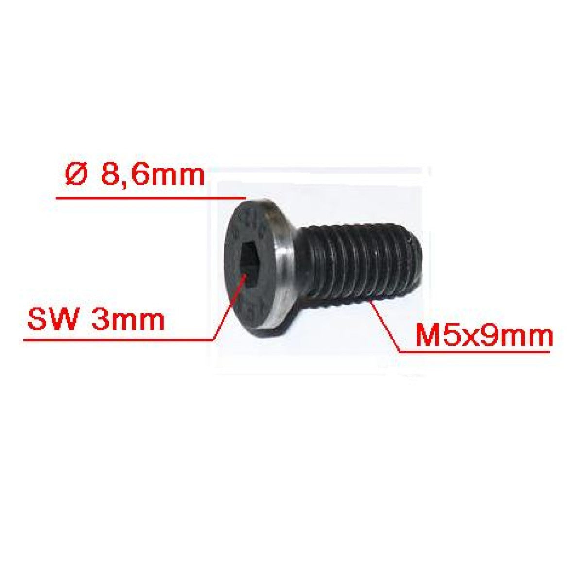 Holzstar Senkkopfschraube M5x9 für 4-Backenfutter DB Serie - Art. 0593105403