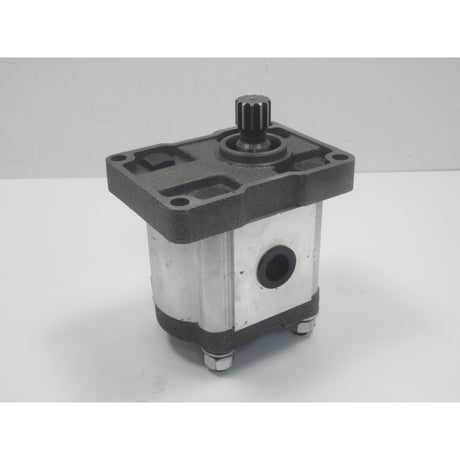 Holzstar Hydraulikpumpe HSE 22-1100 Z CBN1-F314 - Art. 0598102295