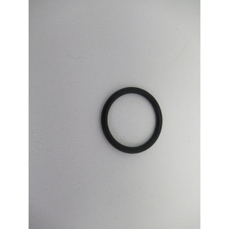 Holzstar O-Ring HS 8/10 1350 H 21x2,5mm - Art. 05981108Z13