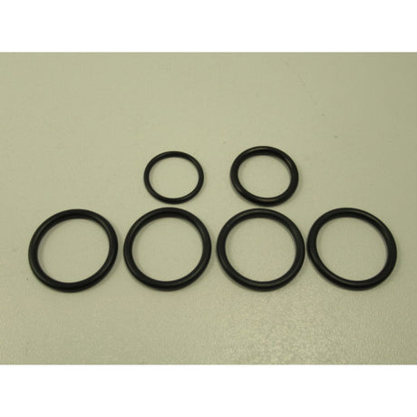 Holzstar Dichtungsset HS 10-1350 H für Steuerventil - Art. 0598111002RK