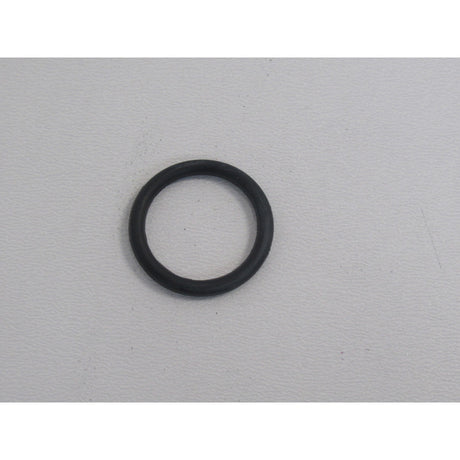 Holzstar O-Ring HSE 13-1050,ZE Ø17x2,4 - Art. 05981320089