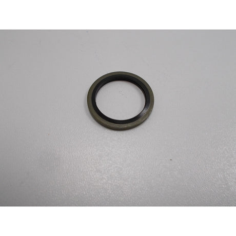 Holzkraft Dichtring HSE 13/18/25-1100 für M22 - Art. 0598133002