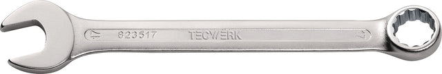 TECWERK Ringmaulschlüssel SW 6 mm, Länge 100 mm, Form A, CV-Stahl, verchromt