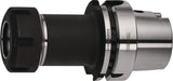 TECWERK Spannzangenfutter ER DIN 69893A HSK-A63 Auskraglänge 100 mm Spannbereich 1-10 mm