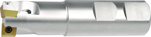 TECWERK Schaftfräser 20 mm vernickelt mit Innenkühlung für Wendeschneidplatte SOMT 09T304