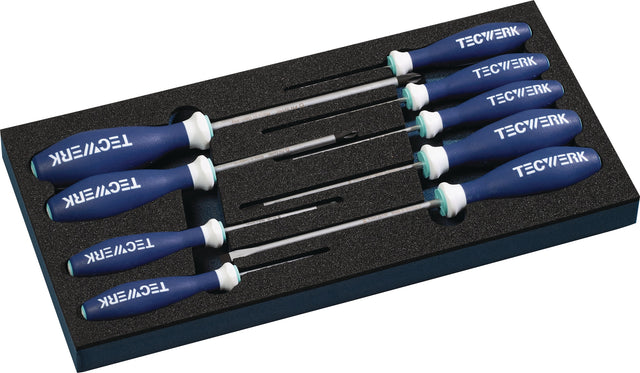 TECWERK Werkzeugmodul 9-tlg. Schraubendreher-Set Schlitz & Kreuzschlitz PH0-3 im 1/3-Modul