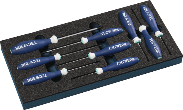 TECWERK Werkzeugmodul 9-tlg. T 6-T 30 Schraubendrehersatz 1/3-Modul