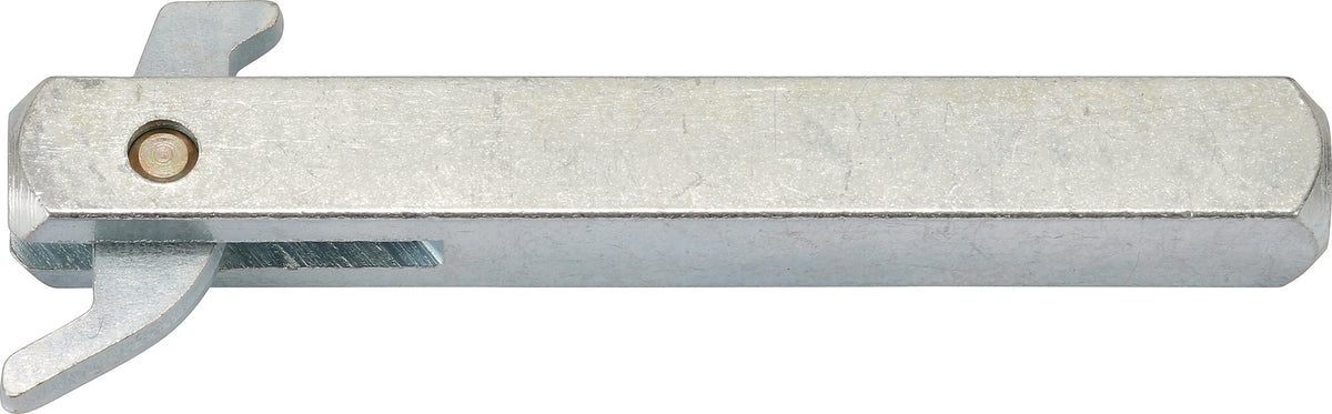 EDI Haken-Wechselstift Typ K 8x65 mm Stahl verzinkt für einseitig gebohrte Türen