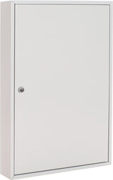 ROTTNER Schlüsselschrank S 50, 1-türig, Zylinderschloss, 50 Haken, lichtgrau, Stahlblech