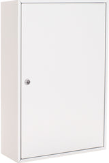 ROTTNER Schlüsselschrank S 50, 1-türig, Zylinderschloss, 50 Haken, lichtgrau, Stahlblech