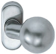 FSB Feuerschutz-Profiltür-Knopf 07 0846 Aluminium 0105 fest – für Feuer- und Rauchschutztüren