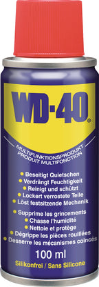 100 ml / Spraydose