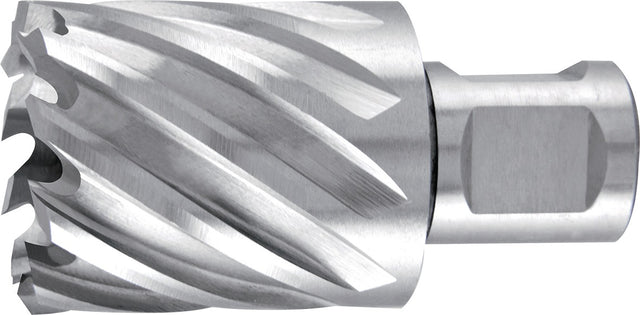 RUKO Kernbohrer HSS 12 mm Weldon-Schaft, Schnitttiefe 30 mm, 4 Zähne
