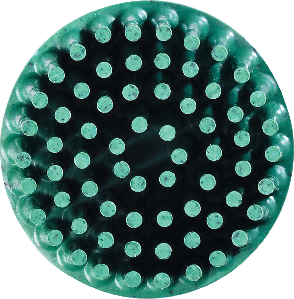 3M Bürstenscheibe RD-ZB Roloc 50,8 mm grün Körnung 50