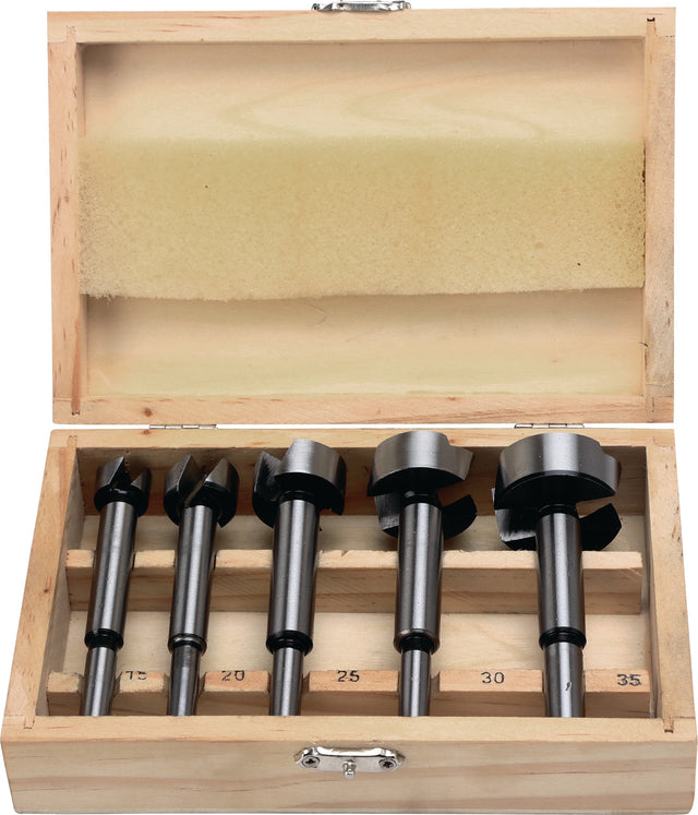 PROMAT Forstnerbohrersatz 5-teilig Ø 15–35 mm mit Zentrierspitze und Holzkassette