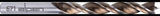 ALPEN Spiralbohrer TIMBER TWIST Ø 1 mm, 2 Stück, für ausrissfreies Bohren in Holz