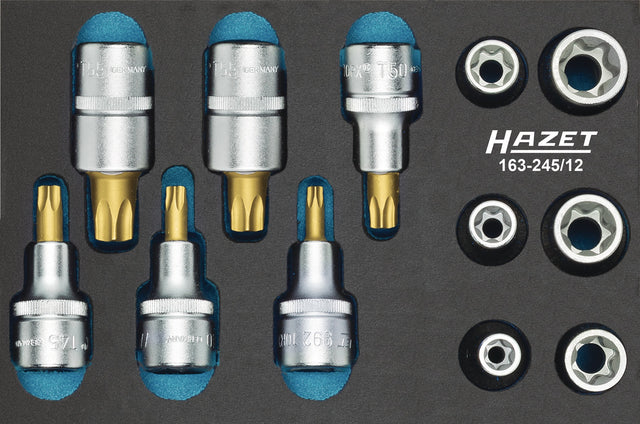 HAZET Werkzeugmodul 163-245/12 – 12-teiliger TORX®-Satz, 172 x 114 mm