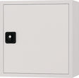 BEDRUNKA+HIRTH Hängeschrank 600x600x200 mm Vollblechtür lichtgrau RAL 7035