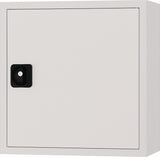 BEDRUNKA+HIRTH Hängeschrank 600x600x200 mm Vollblechtür lichtgrau RAL 7035