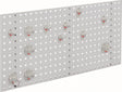 RASTERPLAN Lochplatte B450xL1000mm lichtgrau RAL 7035 12-teilig mit Werkzeughaltern