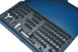 TECWERK Bitsortiment 75-teilig für Sicherungsschrauben – 1/4″ Antrieb, Universalhalter, Stahlblechkassette