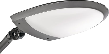 NORDWEST LED-Schreibtischlampe Kunststoff schwarz/anthrazit mit Standfuß und Tischklemme