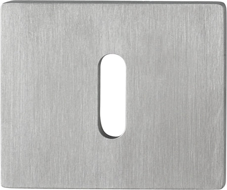 HOPPE Schlüsselrosetten-Paar E847NS Edelstahl F69 rechteckig 2 mm – SchnellstiftPlus für Innentüren