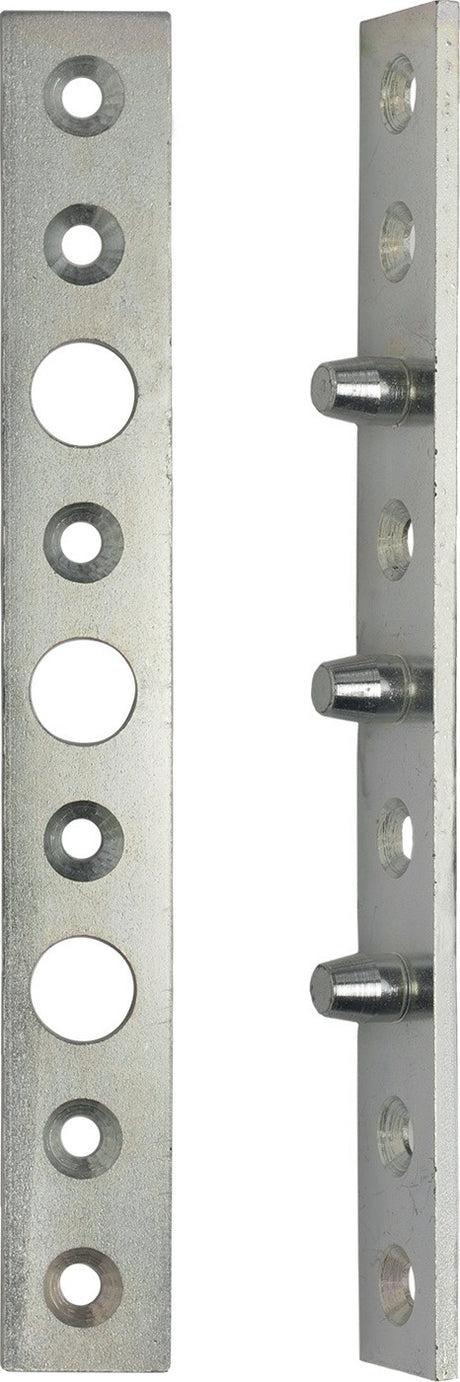 SCHNEGEL Flachbändersicherung 160x20x3 mm Stahl verzinkt mit 3 Hinterhaken
