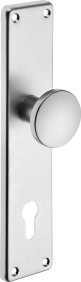 EDI Knopf-Renovierschild 344 Z Edelstahl matt, 72 mm PZ, Knopf gerade, 250 x 54 mm