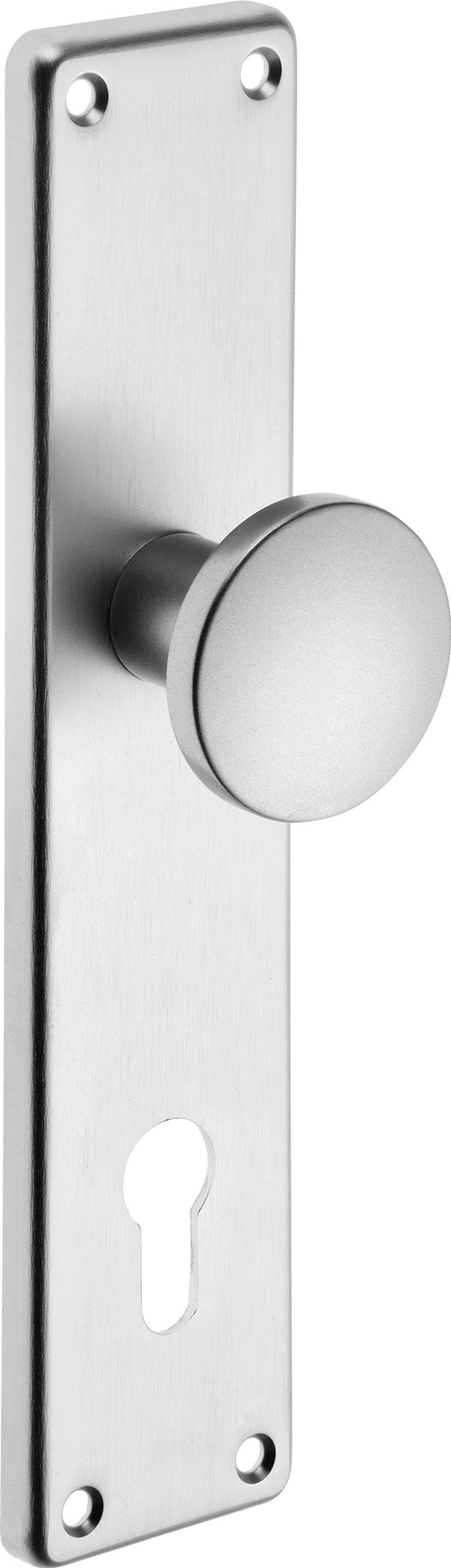 EDI Knopf-Renovierschild 344 Z Edelstahl matt, 72 mm PZ, Knopf gerade, 250 x 54 mm