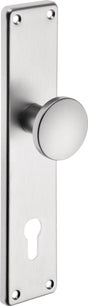 EDI Knopf-Renovierschild 344 Z Edelstahl matt, 72 mm PZ, Knopf gerade, 250 x 54 mm