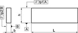 AMF Parallelunterlagenpaar DIN 6346P H8 x B2,5 x L63 mm Superpräzision