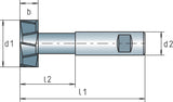 MAYKESTAG T-Nutenfräser DIN 851 AB Typ N Ø 12,5 mm HSS-Co Kreuzverzahnung Z6