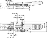 GANTER Verschluss-Spanner GN 851 STA mit 1600 N Haltekraft, Stahl