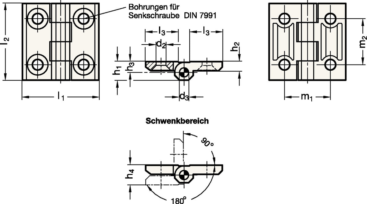 GANTER Scharnier GN 237, 40 x 40 x 5 mm, Zink-Druckguss, schwarz beschichtet